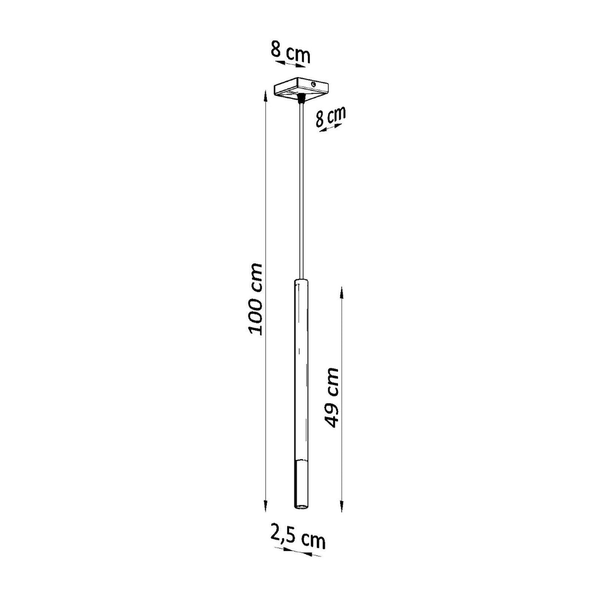 Schéma coté indiquant les dimensions : longueur 100 cm, corps 49 cm, diamètre 2,5 cm.