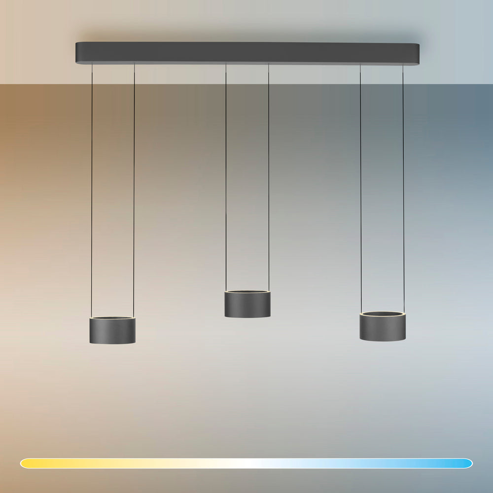 Designix Showroom in Lyon