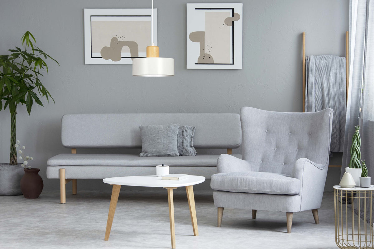 Mise en ambiance dans un salon gris avec canapé, fauteuil et plante verte