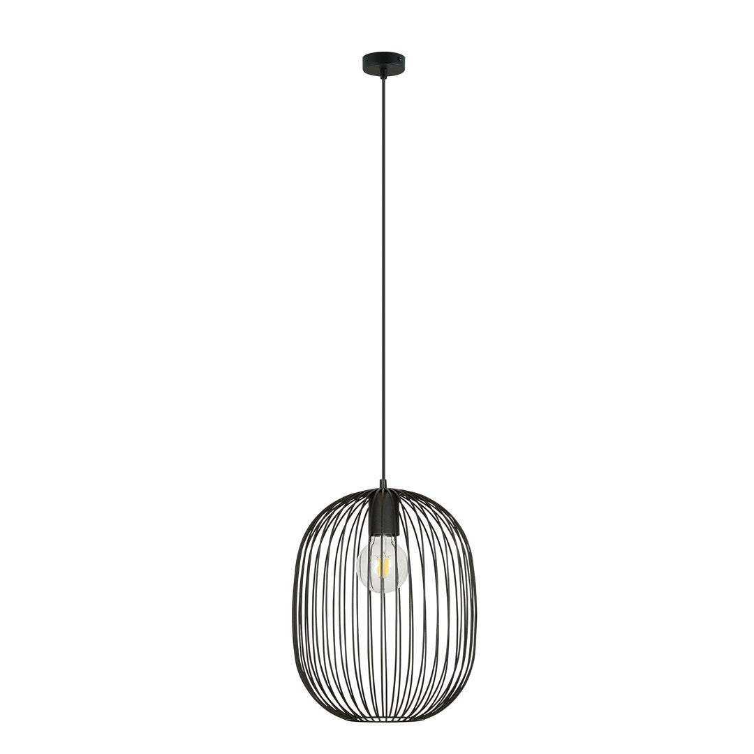 Vue de face du luminaire suspendu noir avec ampoule à filament visible sur fond blanc.