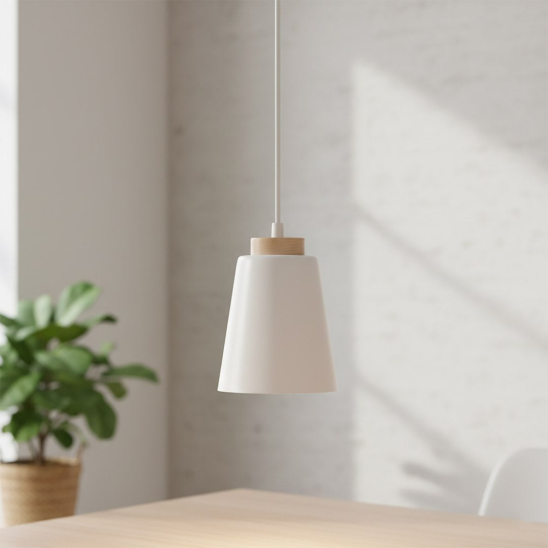 Mise en ambiance au-dessus d'une table en bois avec plante verte à gauche.