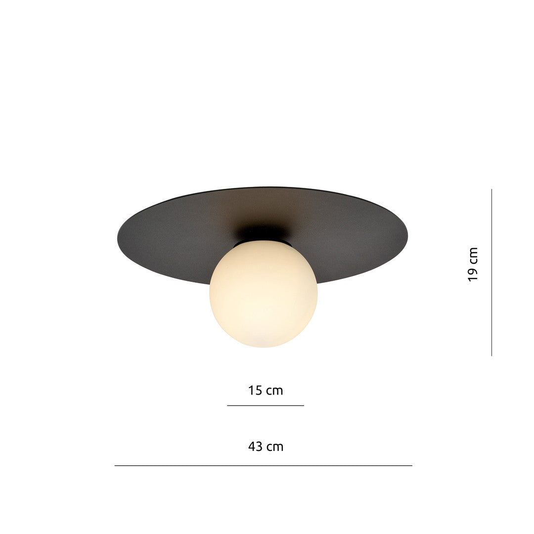 Schéma coté : largeur 43 cm, hauteur 19 cm, globe 15 cm.