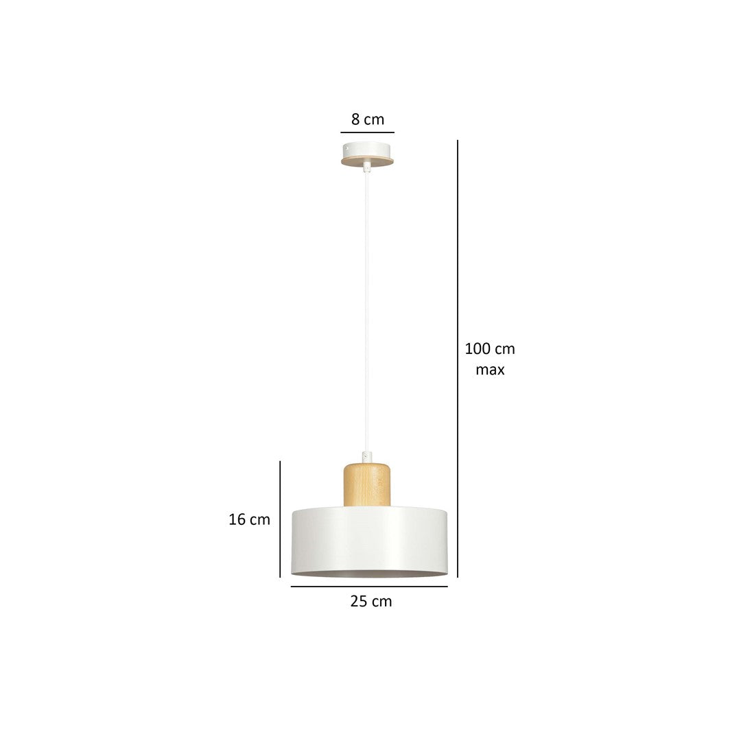 Schéma coté indiquant 25 cm de diamètre, 16 cm de hauteur et 100 cm de câble