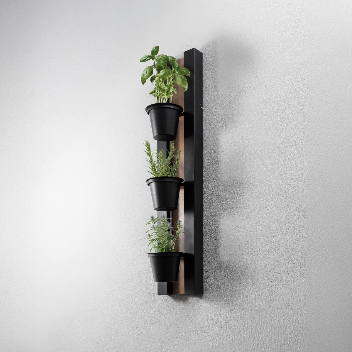 Applique murale LED Shelf en bois, noir, hauteur 90 cm