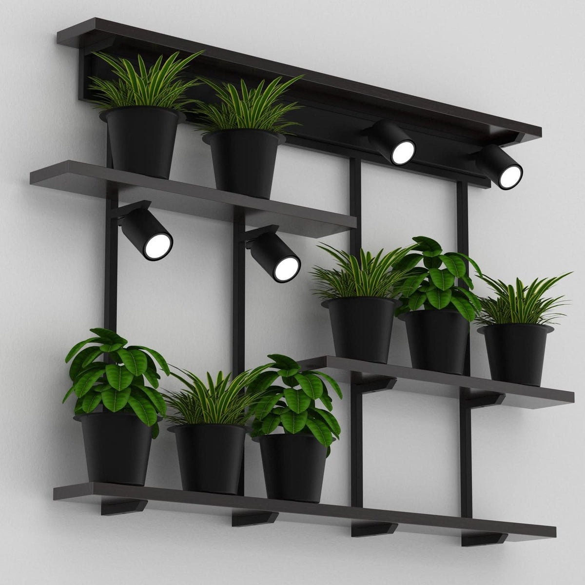 Applique murale Shelf en bois, noir mat, 4 lumières, hauteur 75 cm