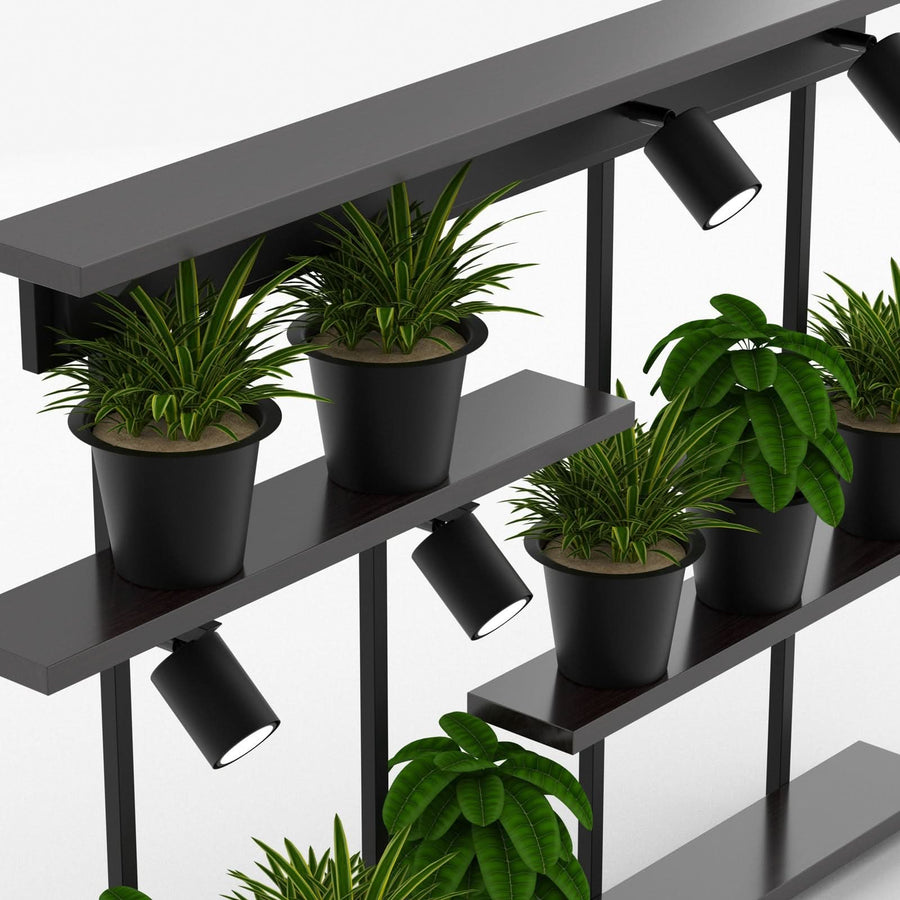 Applique murale Shelf en bois, noir mat, 4 lumières, hauteur 75 cm