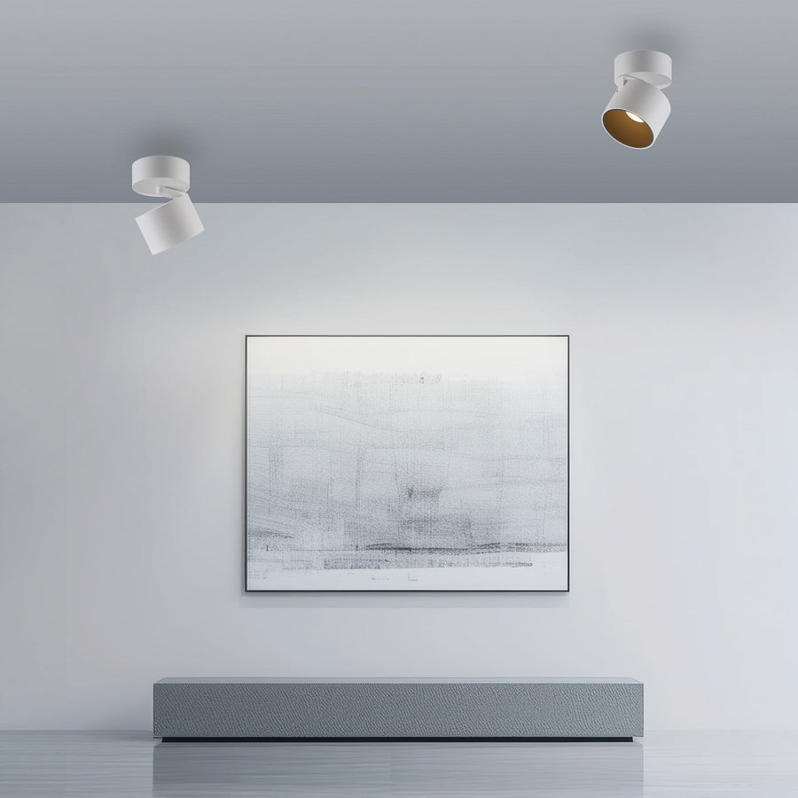 Deux spots blancs fixés au plafond éclairent un tableau abstrait dans un salon.