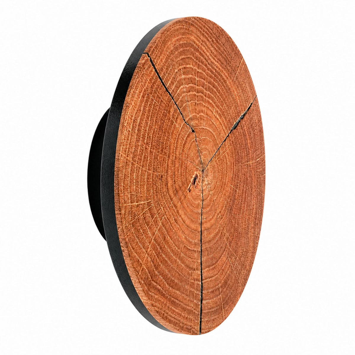 Applique murale LED Havana S en bois, noir mat, Ø 19 cm, IP44, 12 W
