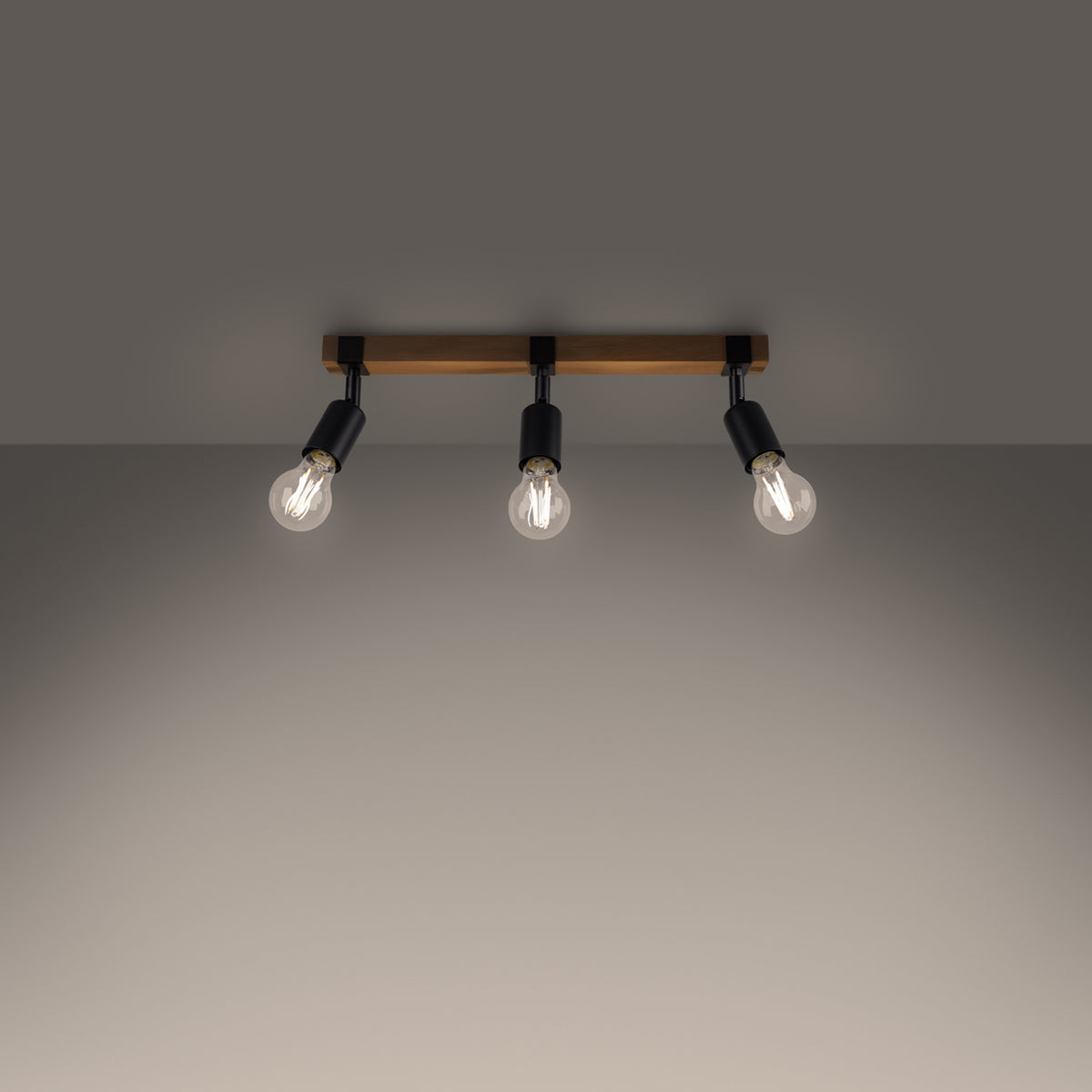 Mise en ambiance : plafonnier allumé au plafond, éclairant la pièce d'une lumière chaude.