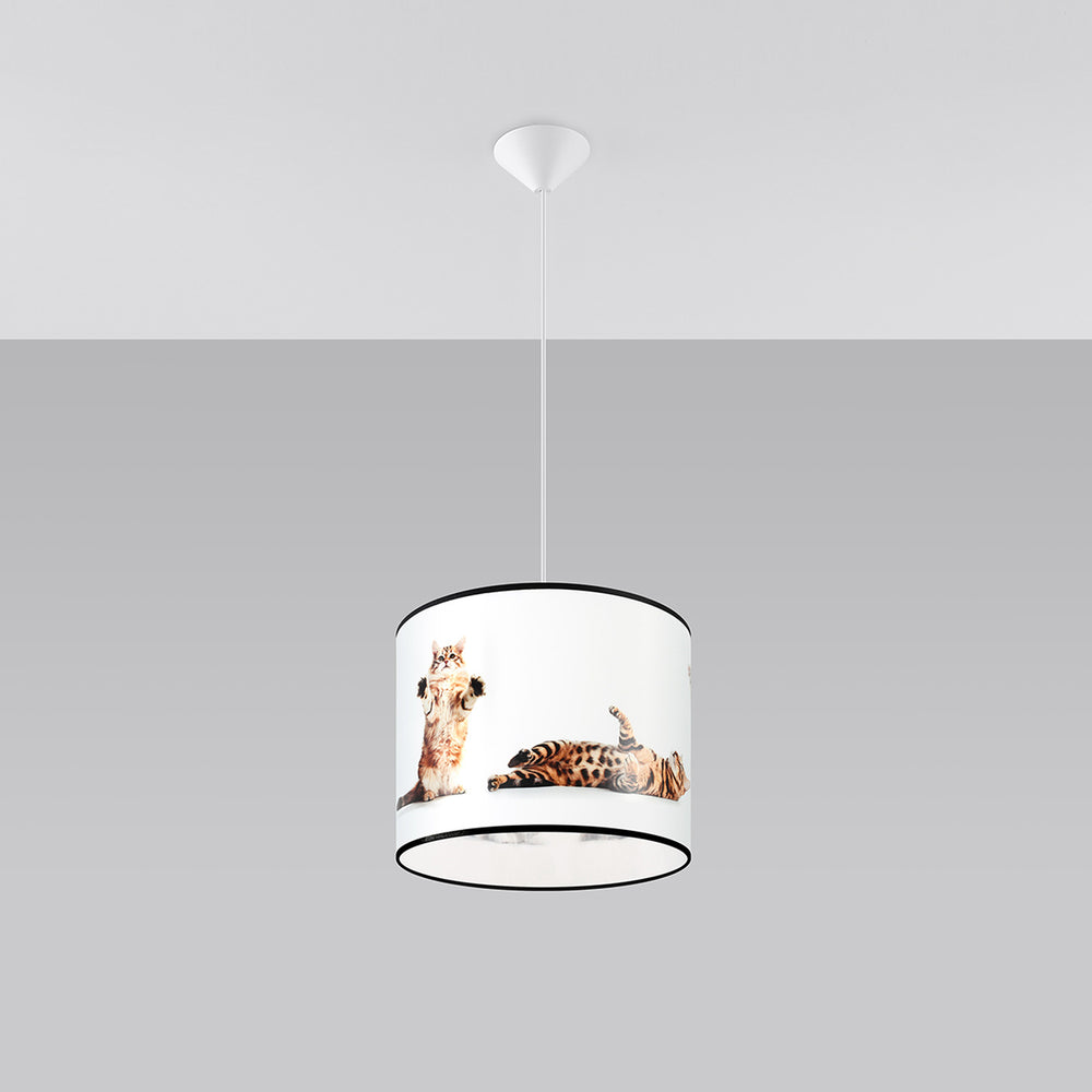 Designix Showroom in Lyon