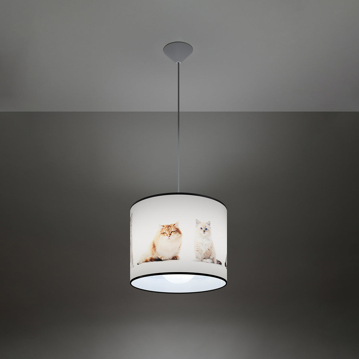 Vue en ambiance sombre, lampe suspendue éclairée montrant chat roux et chaton blanc