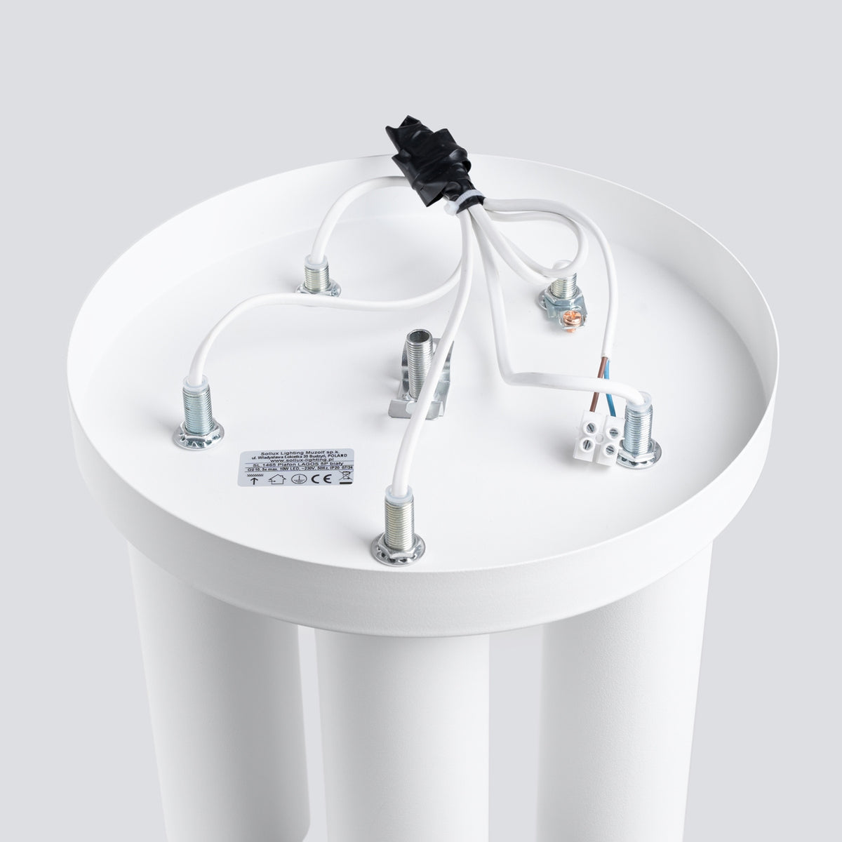 Dessous du socle montrant le câblage, les vis de fixation et le bornier.