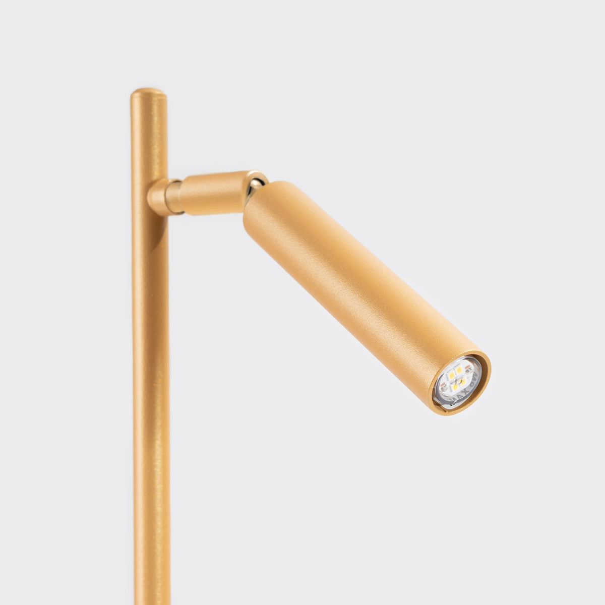 Détail de la tête cylindrique orientable et de sa lentille LED.