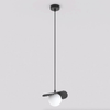Suspension Flora noire, verre blanc