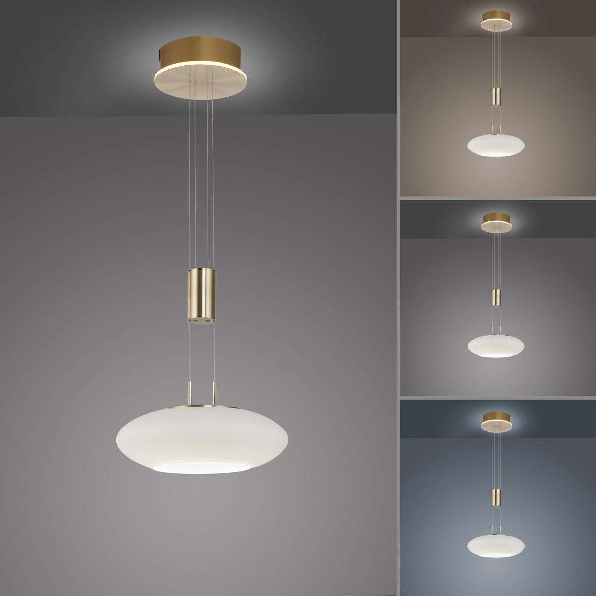 Vue principale et trois ambiances montrant la suspension sous différentes températures de couleur