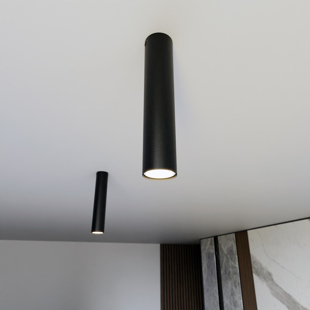 Deux spots cylindriques noirs fixés au plafond blanc dans un intérieur.