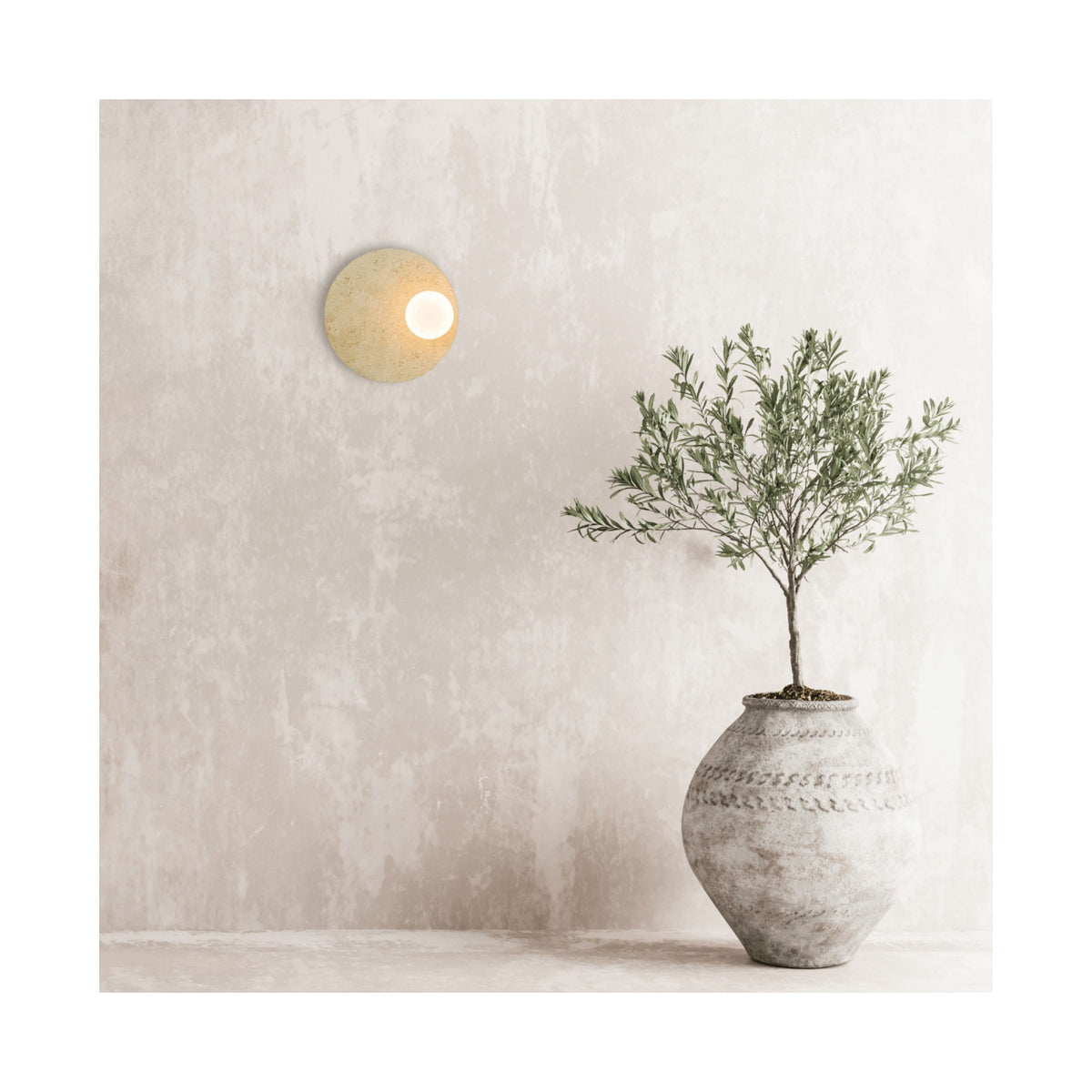 Scène d'intérieur avec applique murale lumineuse, plante grise et mur texturé.