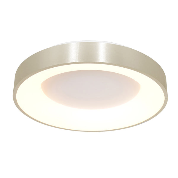 Moderne silberne Deckenleuchte Ringlede
