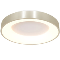 Moderne silberne Design-Deckenleuchte