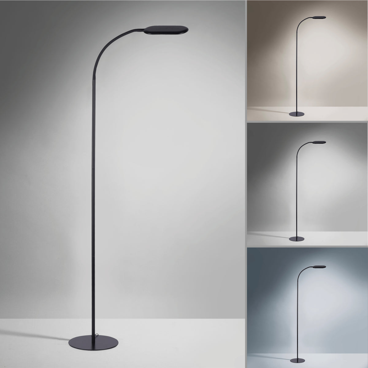 Planche comparative montrant trois températures de lumière : chaude, neutre et froide