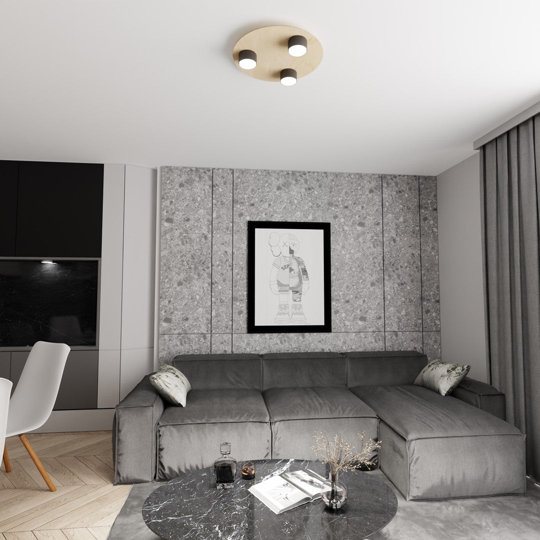 Scène de salon contemporain avec le plafonnier rond installé au plafond blanc.