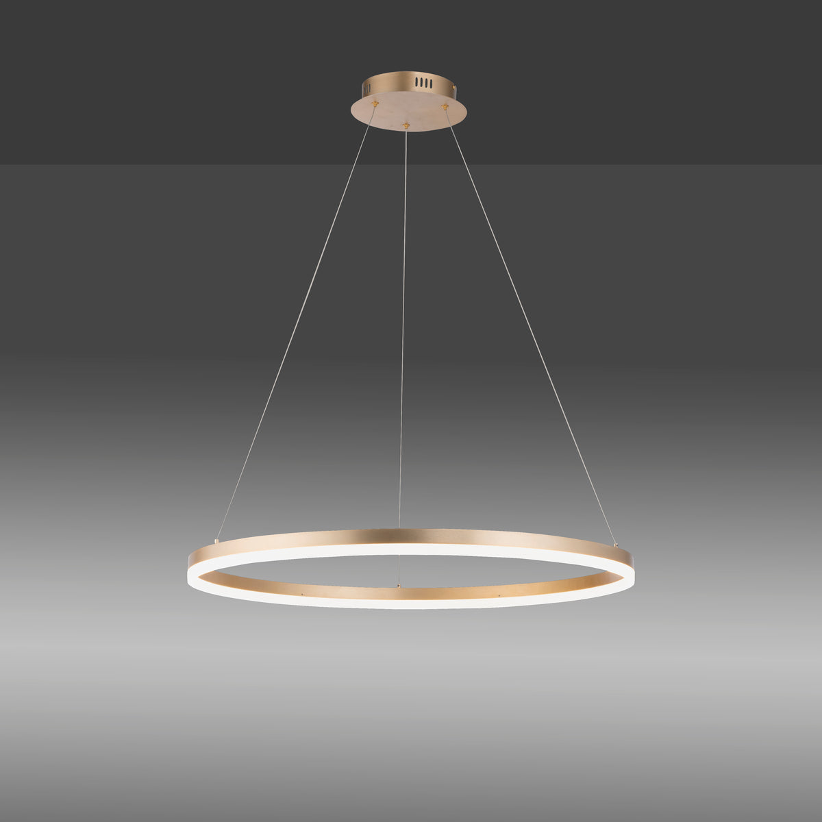 Vue de face du luminaire suspendu sur fond gris dégradé, anneau allumé