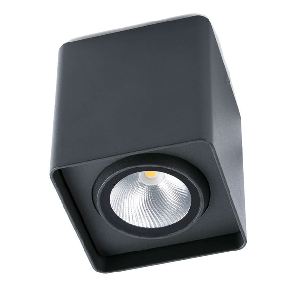 Plafonnier d'extérieur LED Tami en verre, gris foncé et transparent, hauteur 10 cm, IP54