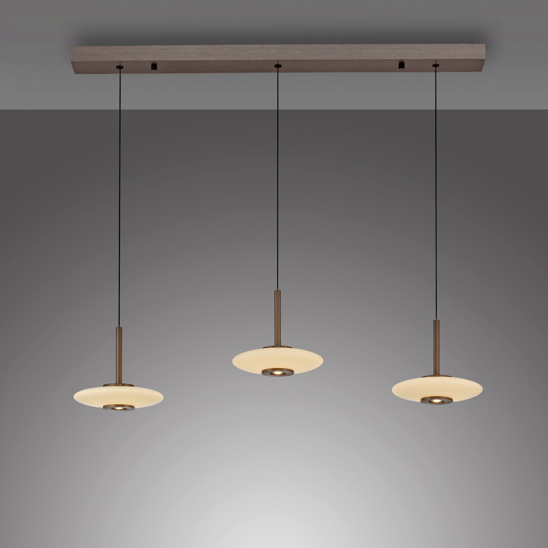 Suspension luminaire | Zephyrion