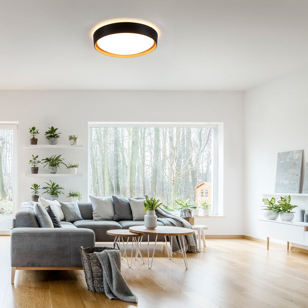 Designix Showroom in Lyon