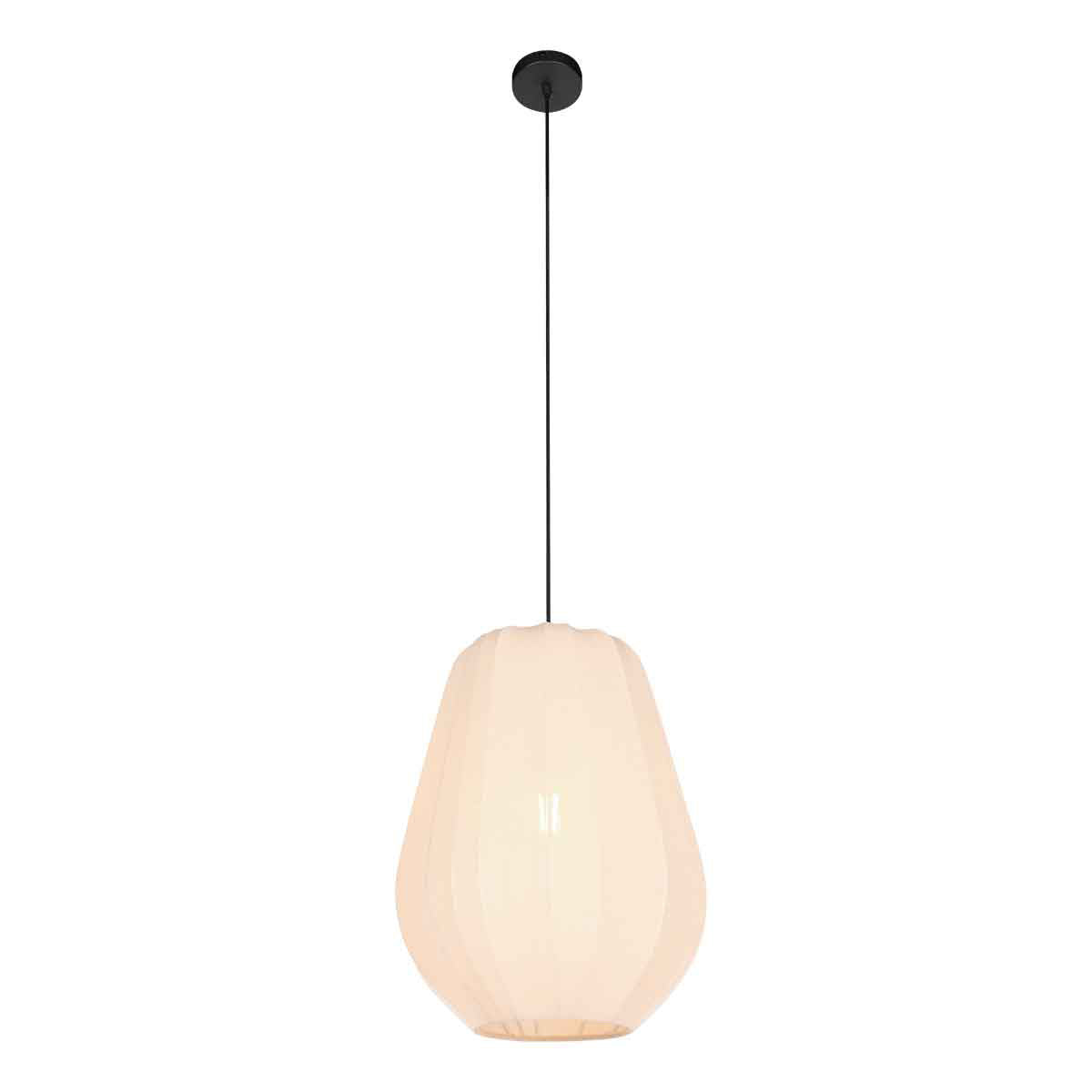 Suspension complète avec rosace noire fixée au plafond et long câble de suspension