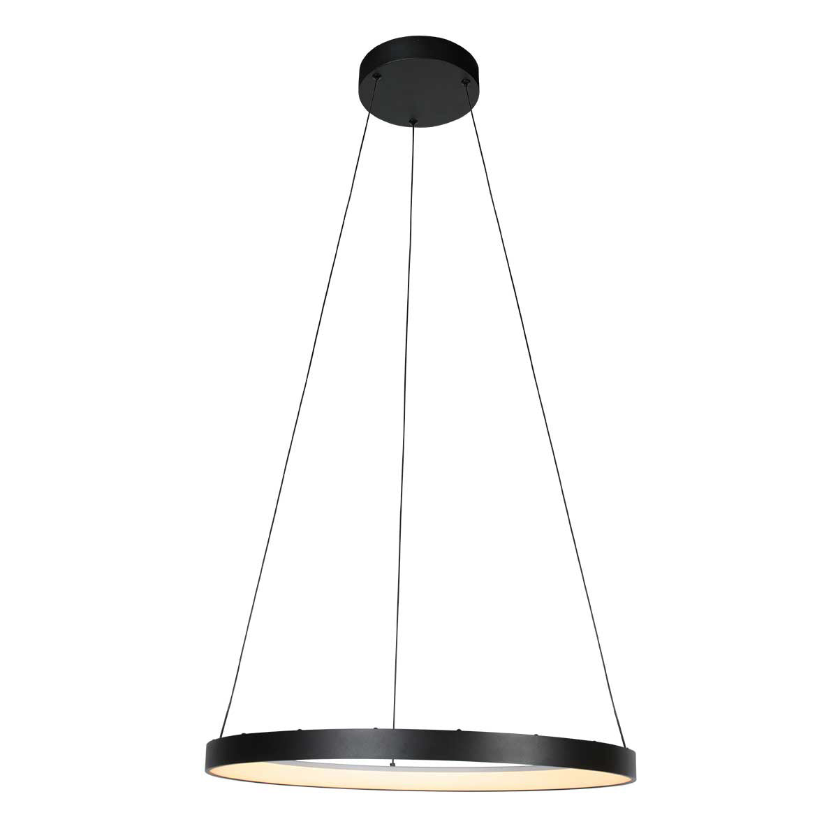 Vue d'ensemble du luminaire suspendu, anneau noir et éclairage LED allumé sous le diffuseur.