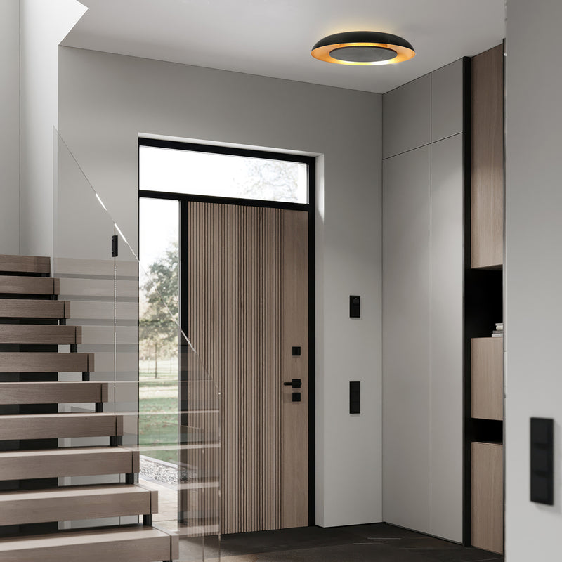 Golden Veil 4331ZW – schwarze Deckenleuchte mit goldenem Schimmer und dimmbarer LED
