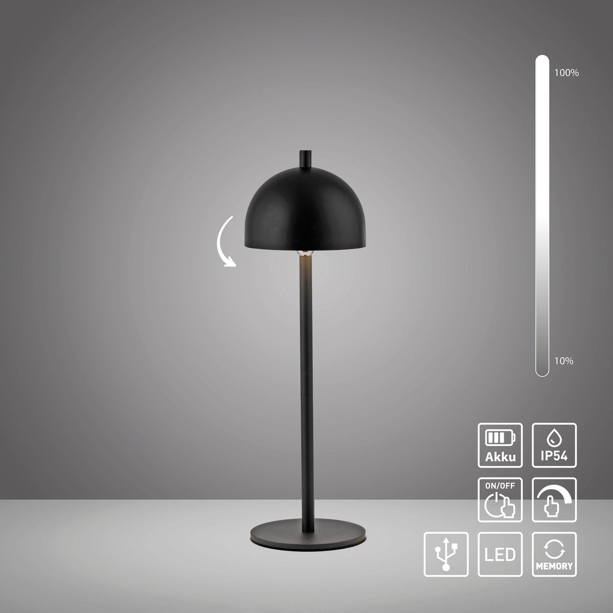 Visuel technique avec icônes batterie, IP54, variateur et fonction mémoire