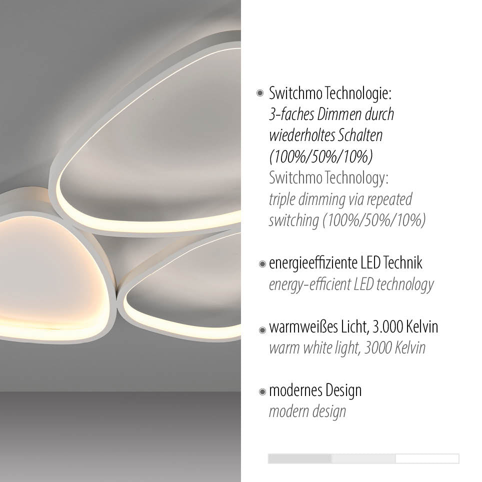Détail du luminaire avec textes bilingues sur la technologie Switchmo et l'éclairage LED.