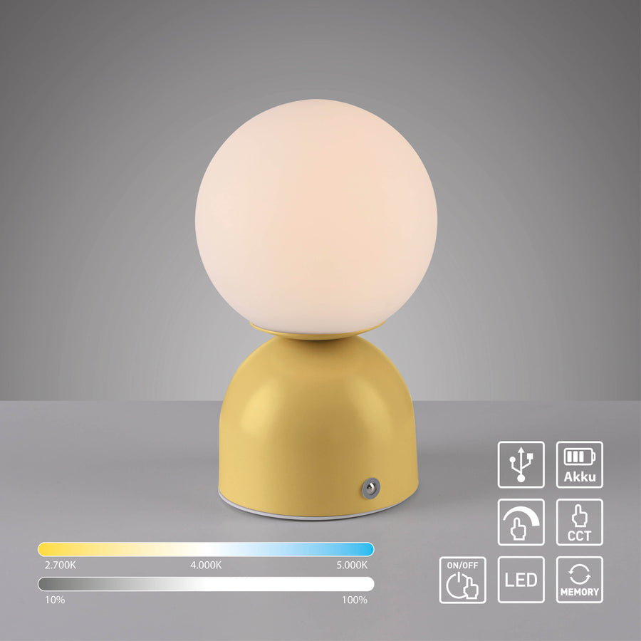 Photo produit avec pictogrammes USB, batterie, LED, variateur et mémoire