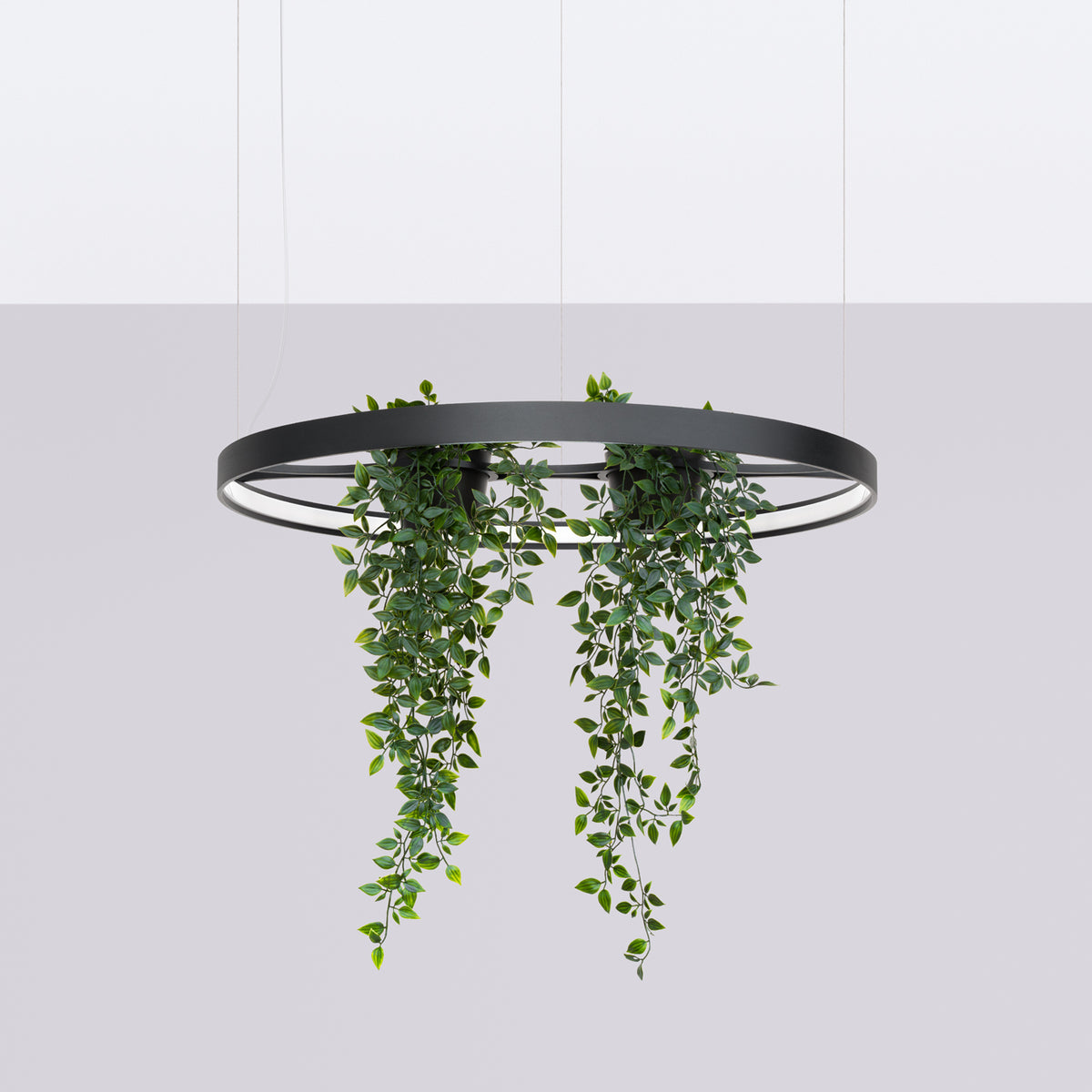 Vue de profil du luminaire éteint, anneau fin et plantes artificielles sur fond gris