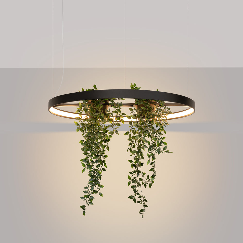 Designix Showroom in Lyon