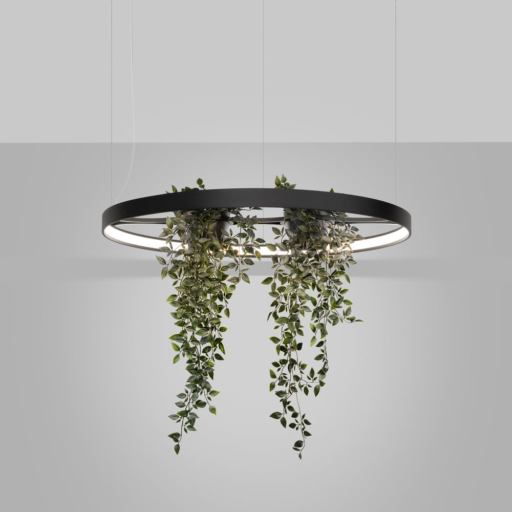 Designix Showroom in Lyon