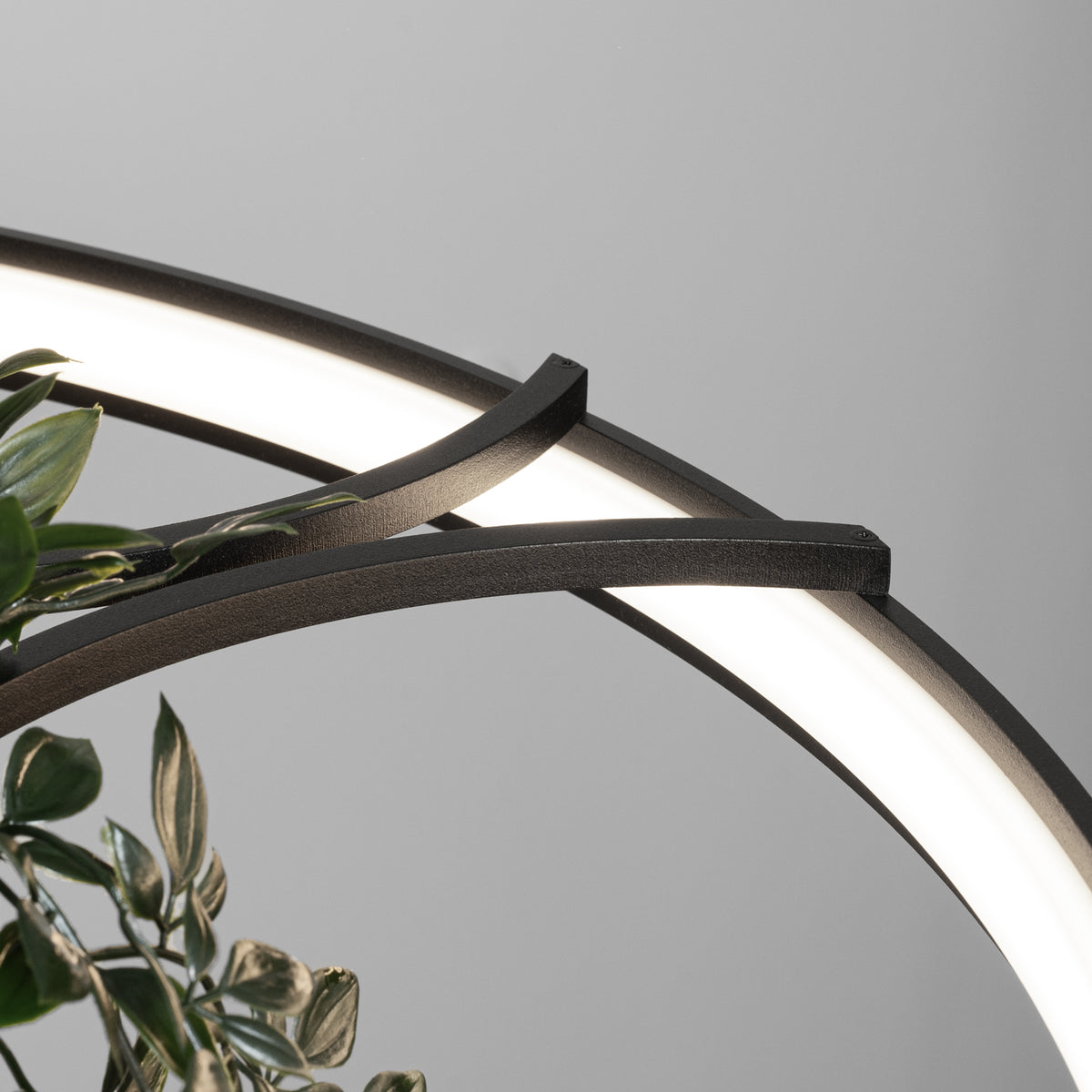Détail rapproché de l'anneau noir et du diffuseur LED blanc allumé