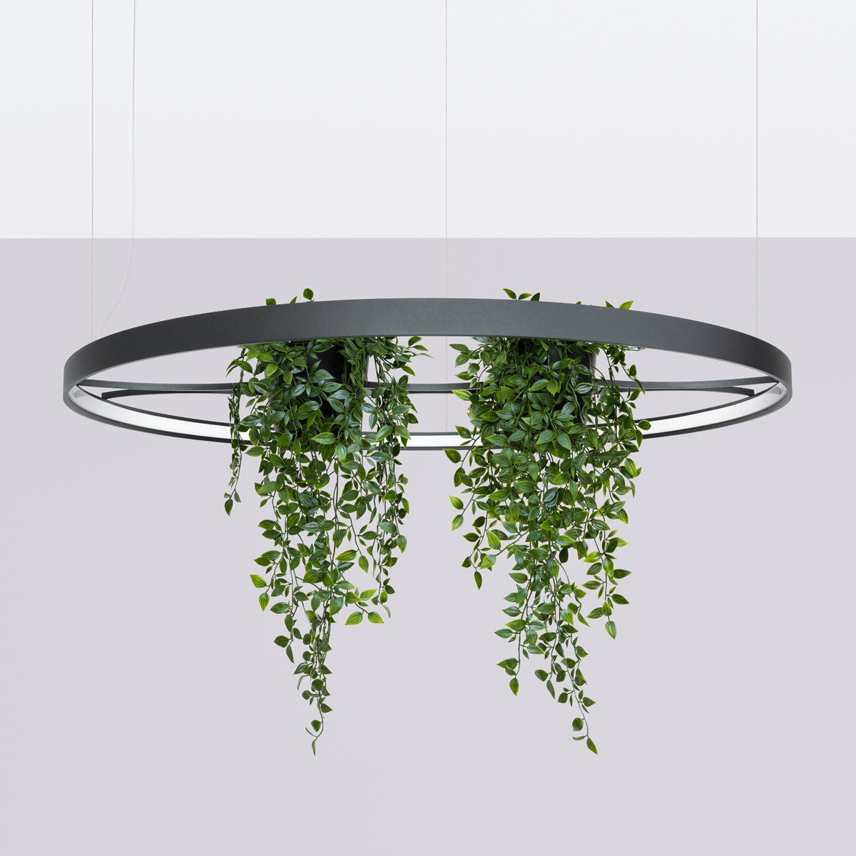 Vue de face sur fond gris clair du luminaire circulaire suspendu