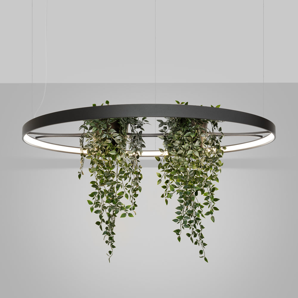 Designix Showroom in Lyon