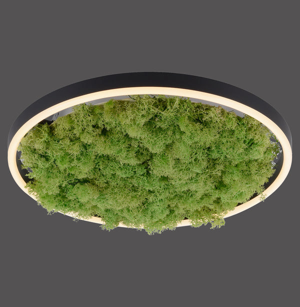 Plafonnier Green Ritus, L 39,3 cm