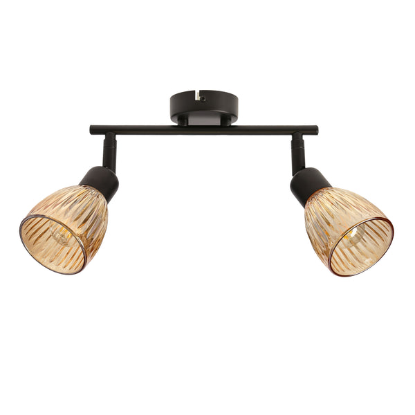 Plafonnier Amcos 2 lumières noir, verre