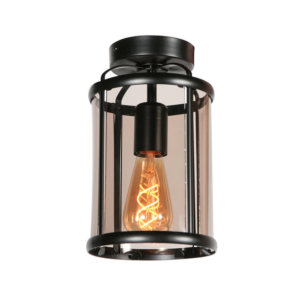Deckenleuchte Pimpernel 5973ZW schwarz mit Rauchglas Ø16 cm