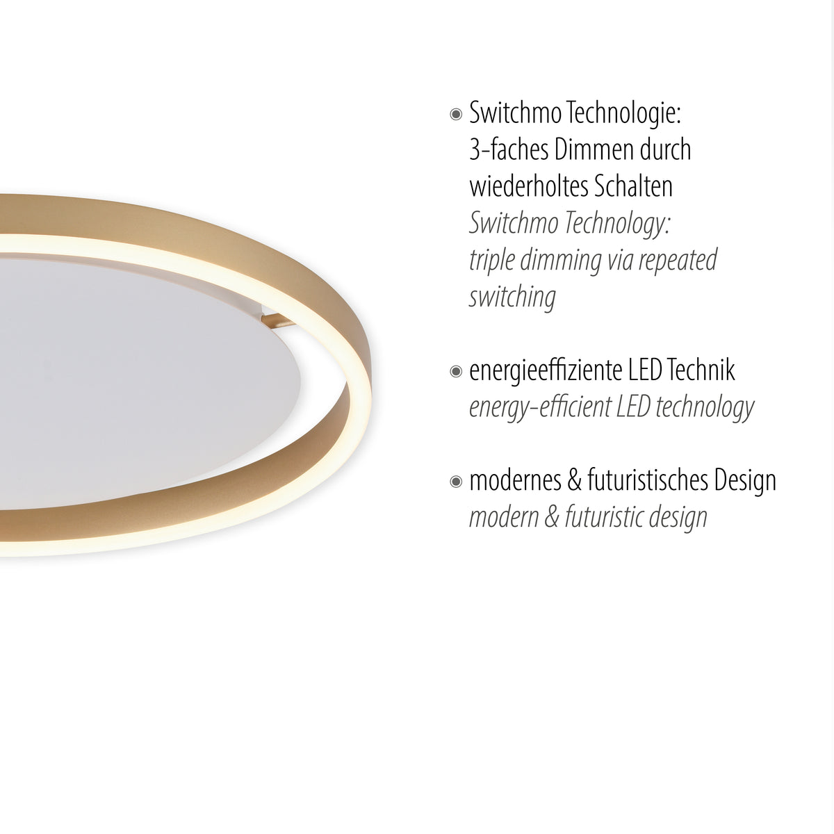 Gros plan du luminaire accompagné de textes techniques sur variateur et LED