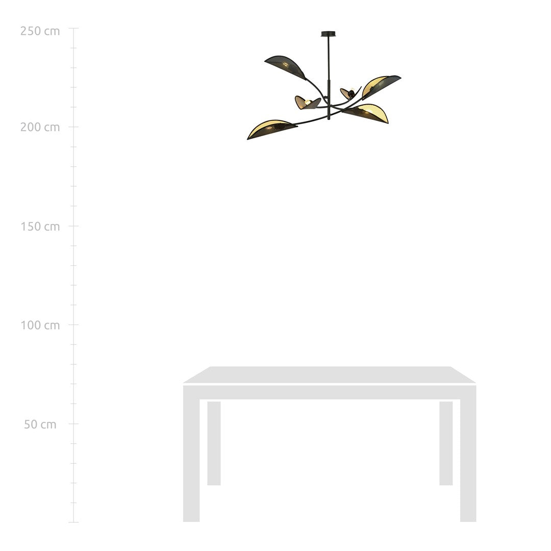 Schéma de hauteur au-dessus d'une table, échelle graduée de 50 à 250 cm