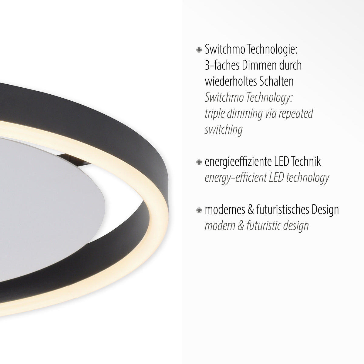 Gros plan du cerclage anthracite et du bandeau LED avec texte technique allemand