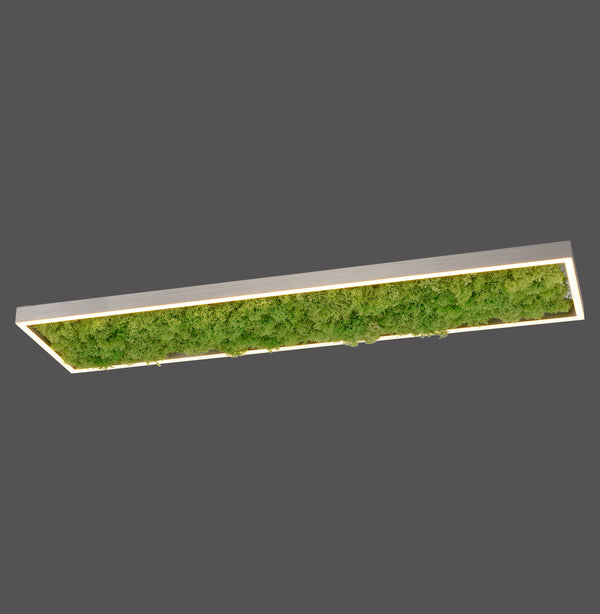 Plafonnier Green Knut
