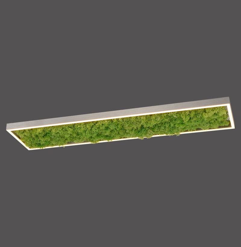 Plafonnier Green Knut
