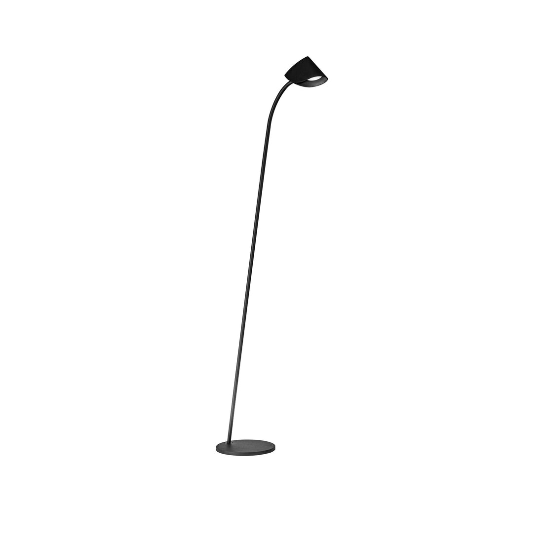 Lampadaire salon | Capuccina Noir